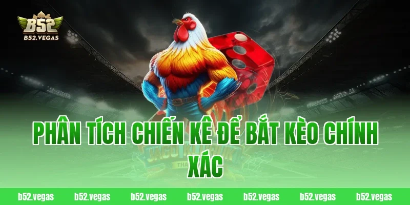 Phân tích chiến kê để bắt kèo chính xác